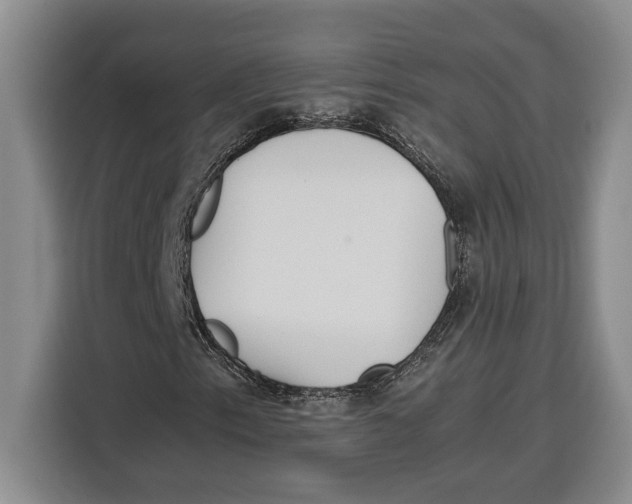 X0000115121153200911241341