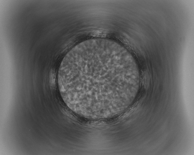 X0000115121154200911241341
