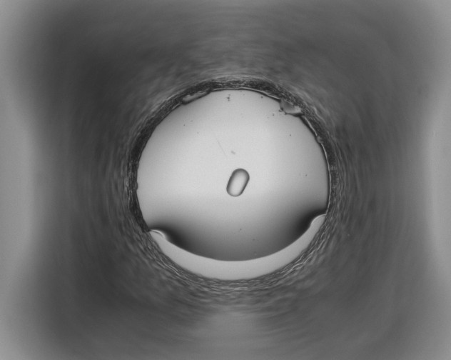 X0000115121157200911241341
