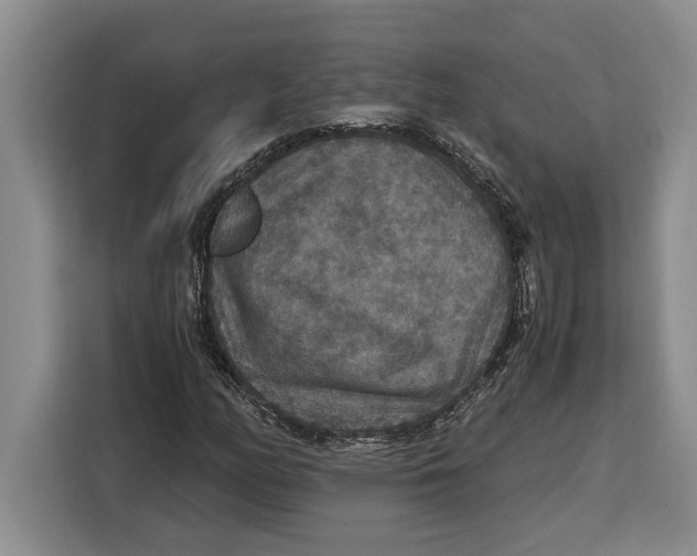 X0000115121158200911241341