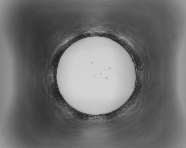 X0000115121159200911241341