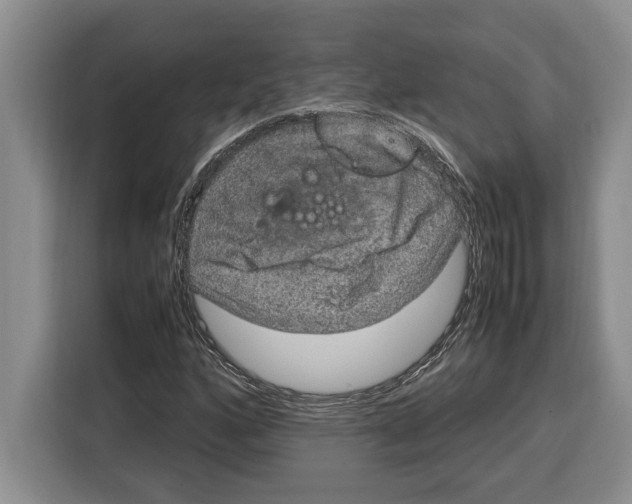 X0000115121160200911241341