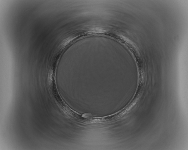 X0000115121161200911241341