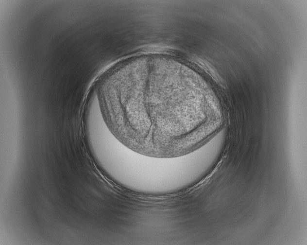 X0000115121164200911241341