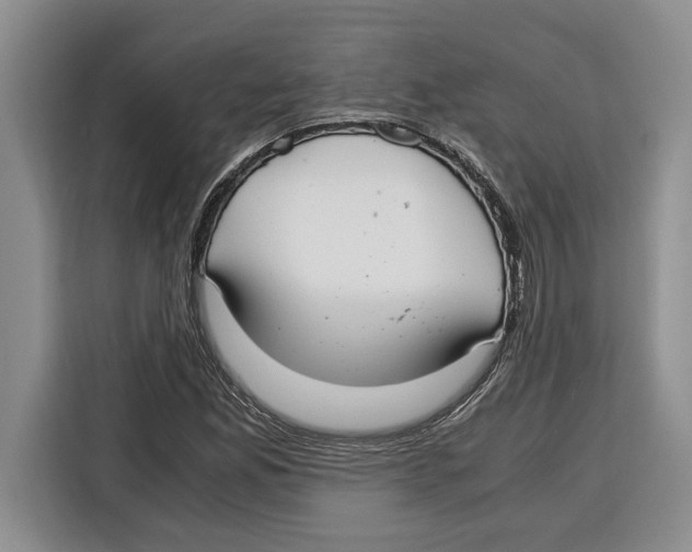 X0000115121165200911241341