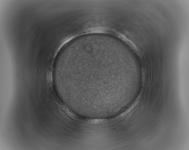 X0000115121166200911241341