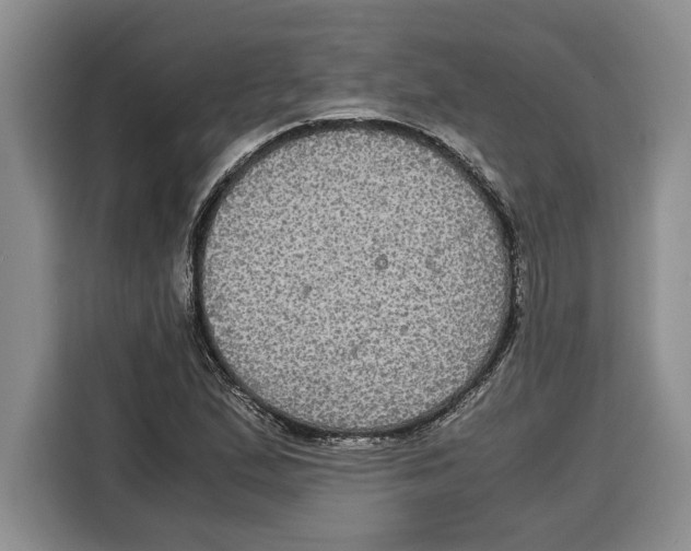 X0000115121167200911241341