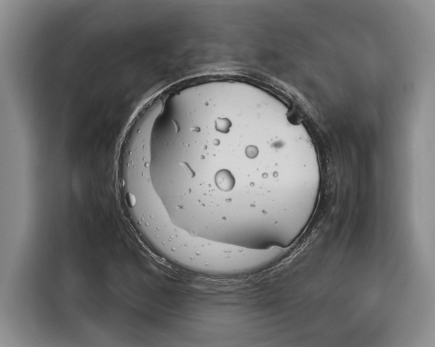 X0000115121168200911241341