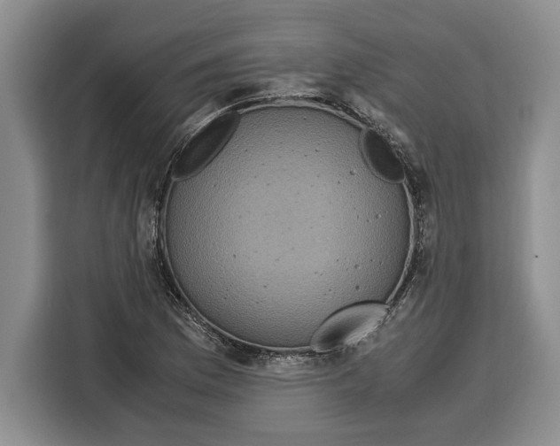 X0000115121169200911241341