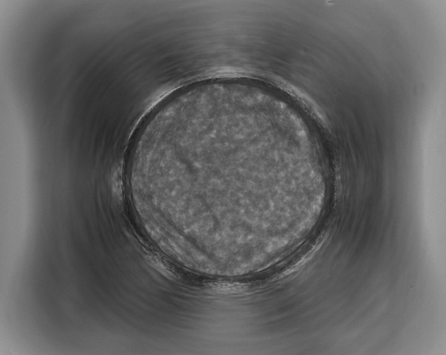 X0000115121170200911241341