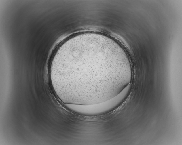 X0000115121172200911241341