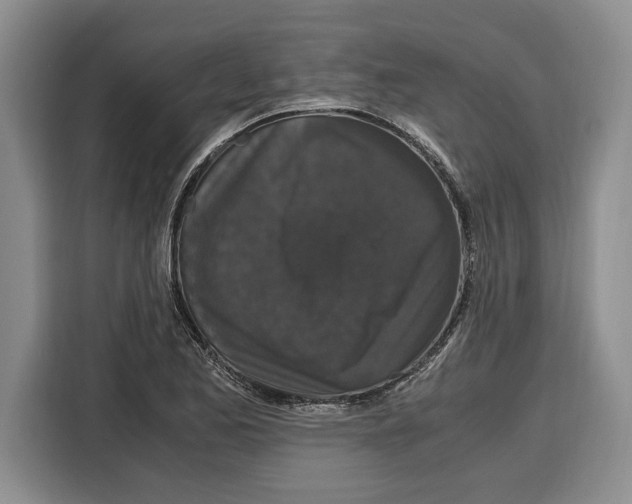 X0000115121173200911241341
