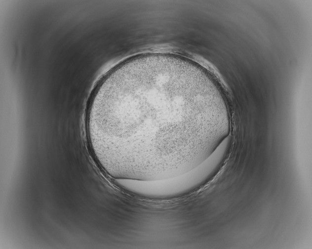 X0000115121176200911241341