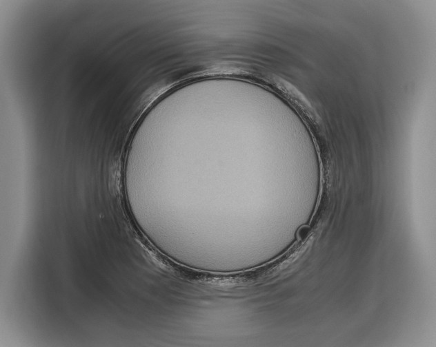 X0000115121177200911241341