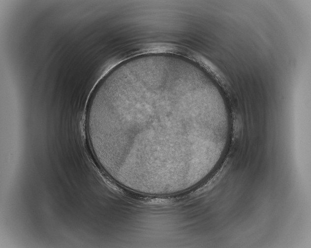 X0000115121178200911241341