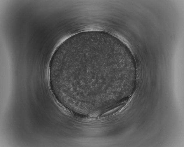 X0000115121179200911241341