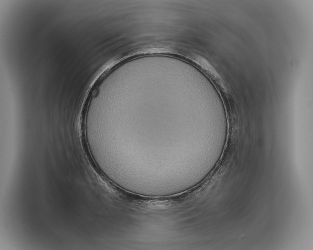 X0000115121181200911241341