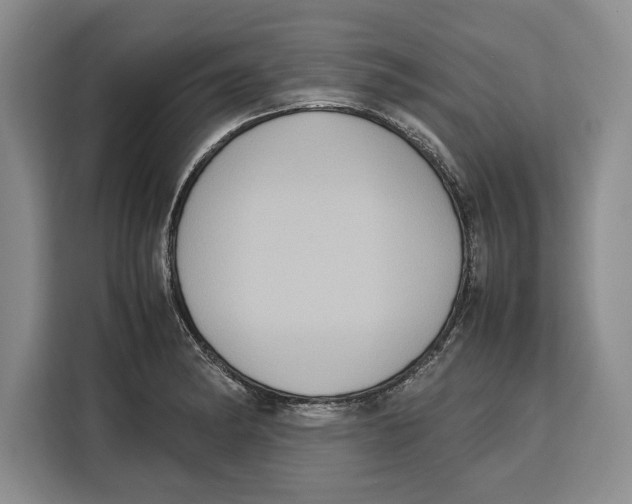 X0000115121182200911241341