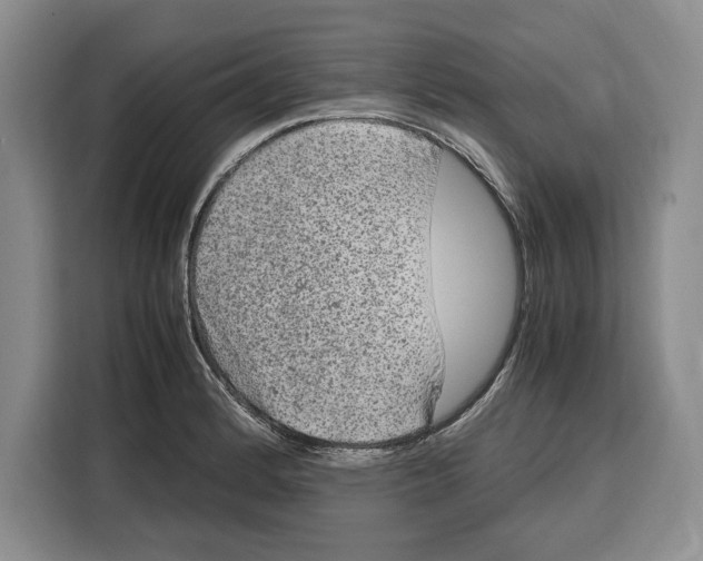 X0000115121184200911241341