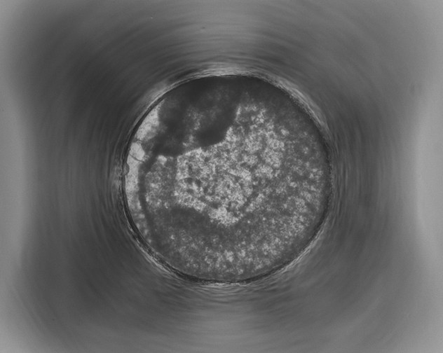 X0000115121185200911241341