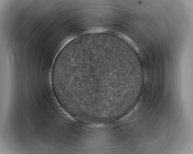X0000115121186200911241341