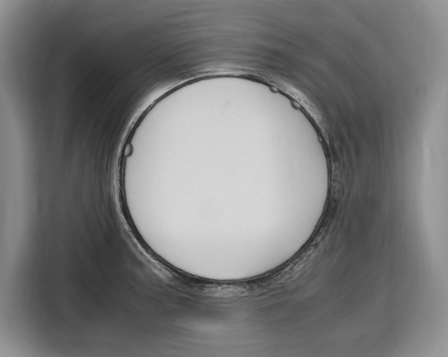 X0000115121187200911241341