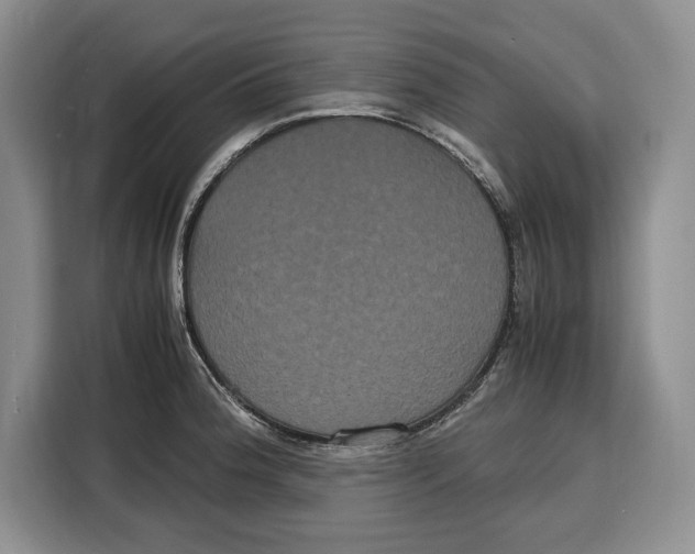 X0000115121188200911241341