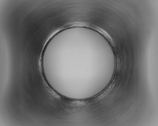 X0000115121190200911241341