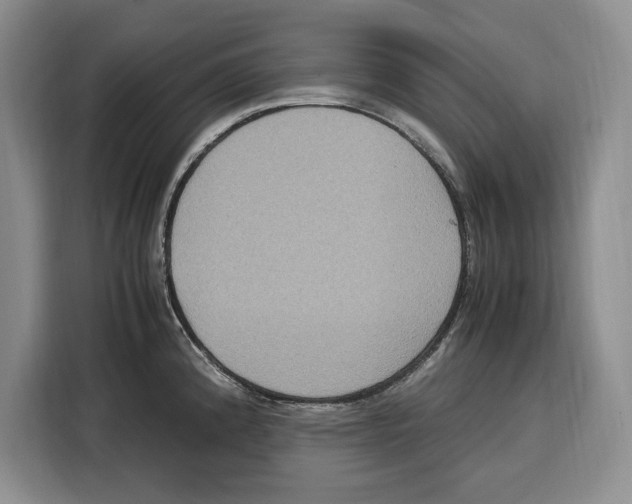 X0000115121192200911241341