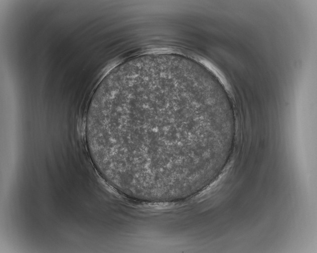 X0000115121193200911241341