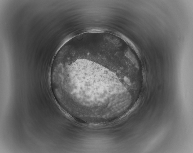 X0000115121194200911241341