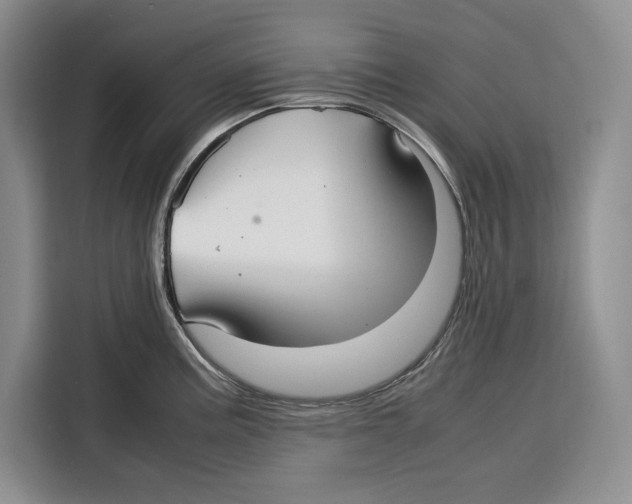 X0000115121195200911241341