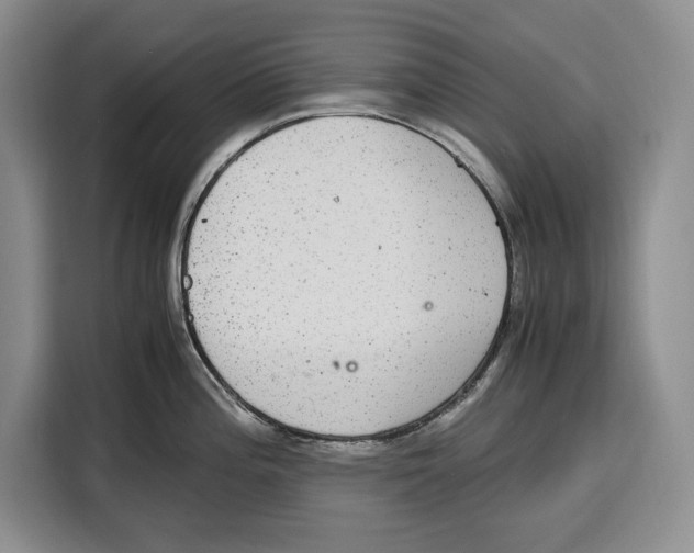 X0000115121196200911241341