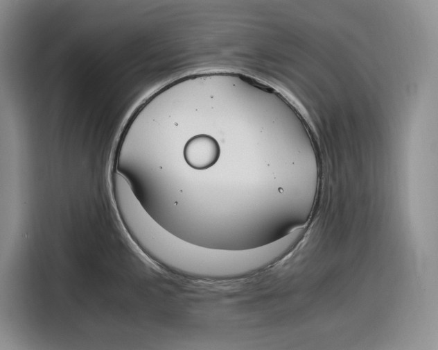 X0000115121197200911241341