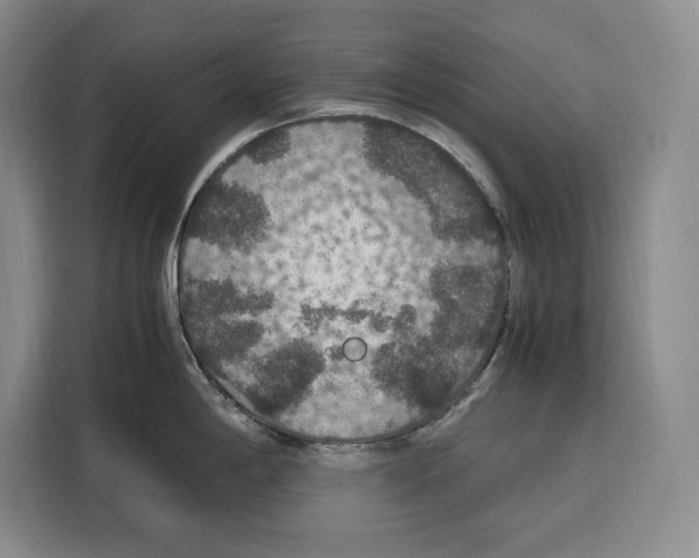 X0000115121198200911241341