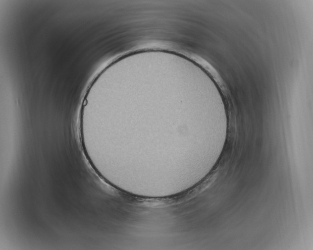 X0000115121199200911241341