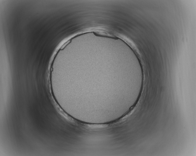 X0000115121200200911241341