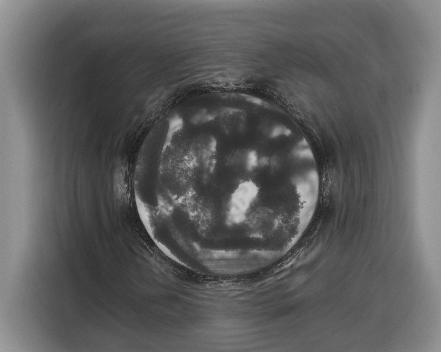 X0000115121202200911241340