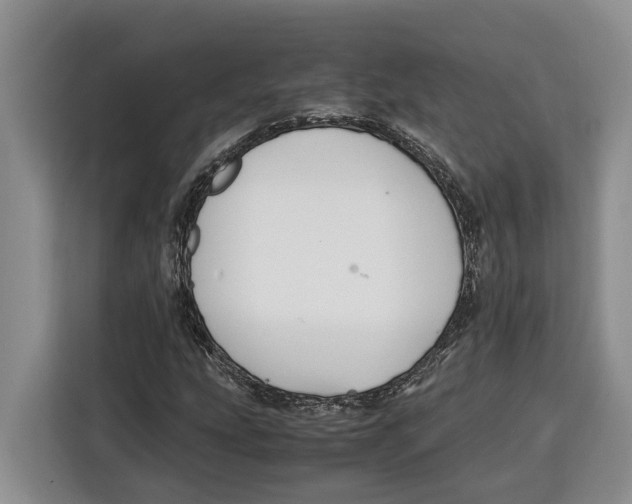 X0000115121207200911241340