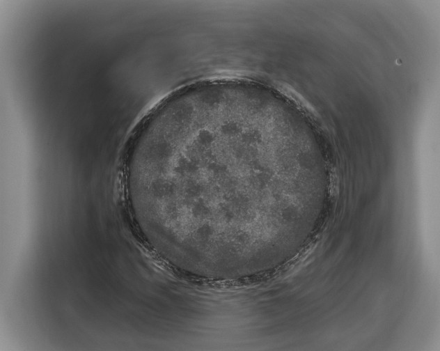 X0000115121208200911241340