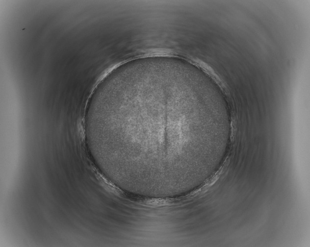 X0000115121212200911241340
