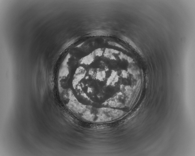 X0000115121213200911241340