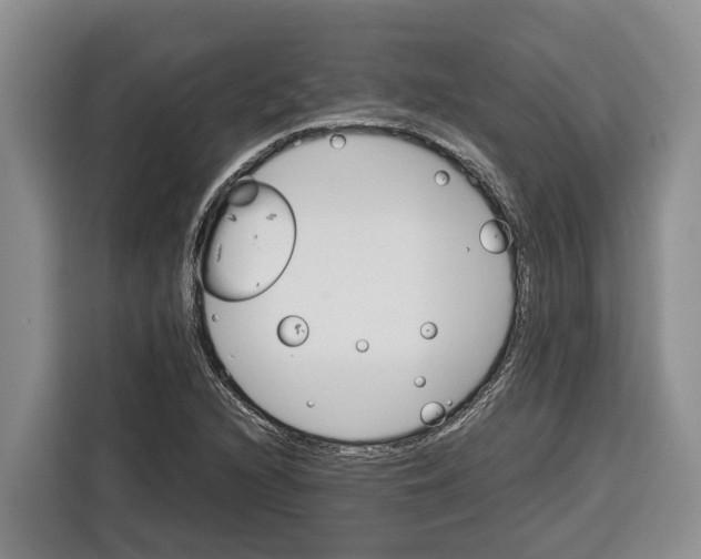 X0000115121216200911241340
