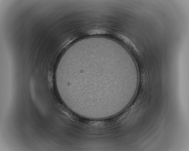 X0000115121217200911241340