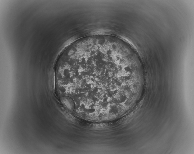 X0000115121219200911241340