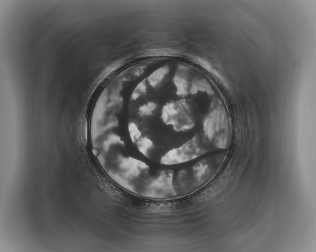 X0000115121221200911241340