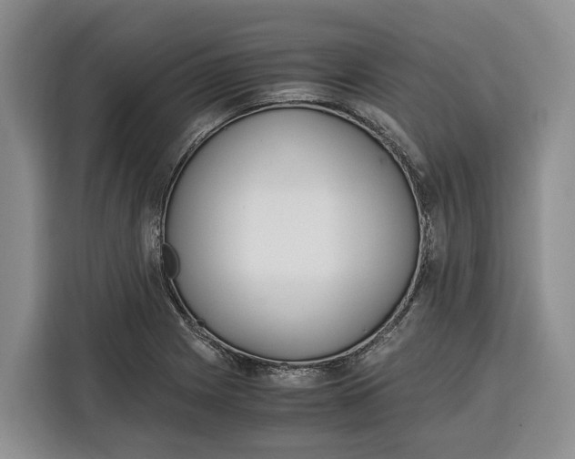 X0000115121225200911241341