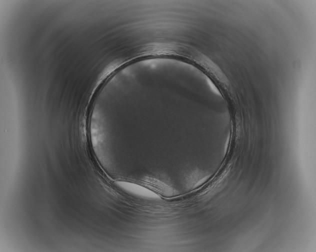 X0000115121226200911241341