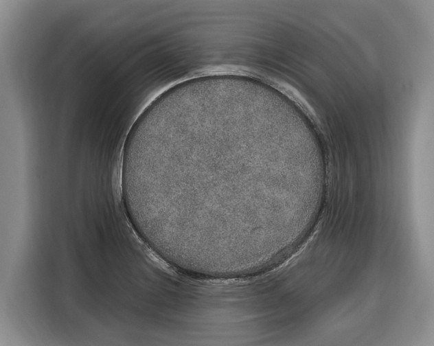 X0000115121228200911241341