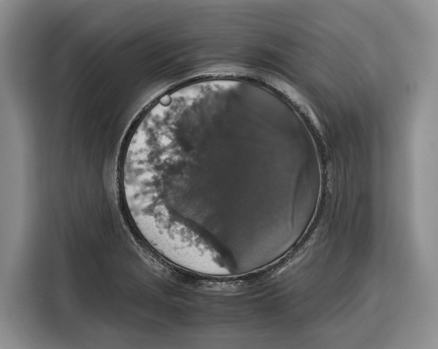 X0000115121229200911241341